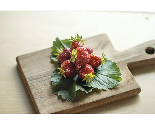 Fraises sur planche à découper en bois
