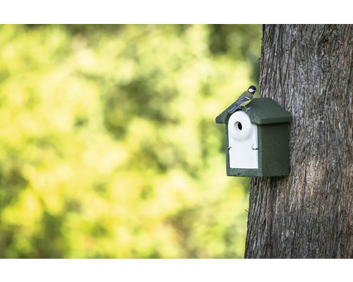Nichoir sur un tronc d''arbre avec un oiseau sur le toit