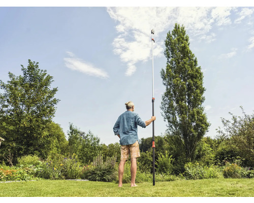 Mann benutzt eine Teleskopstiel-Astsäge im Garten zur Baumpflege