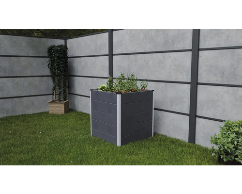 Jardinière surélevée classique GroJa Flex Cubus BPC 70 x 70 x 75 cm anthracite Jardinière carrée avec des plantes dans le jardin