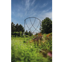 Metall-Rosenbogen im Garten mit Pflanzen
