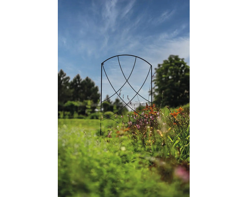 Metall-Rosenbogen im Garten mit Pflanzen