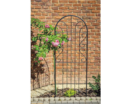 Support à plantes grimpantes en métal avec roses devant un mur de briques