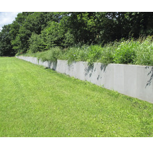 Long mur de jardin en béton avec végétation