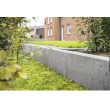 Bordure de gazon en béton dans le jardin pour la délimitation de la pelouse