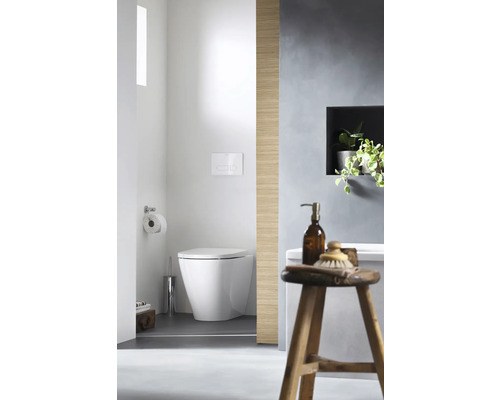 Salle de bains moderne avec WC sur pied, chaise en bois et plante