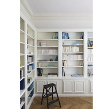 Bibliothek mit gefüllten Regalen und einer Holzleiter