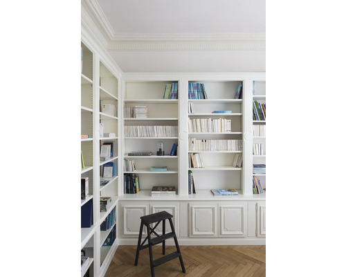 Bibliothek mit gefüllten Regalen und einer Holzleiter