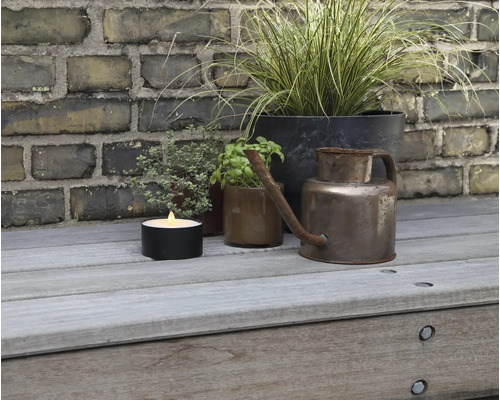 Scène décorative avec bougie chauffe-plat LED, herbes et arrosoir sur un banc en bois
