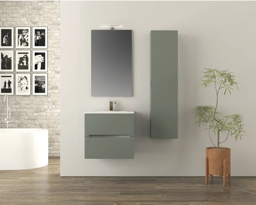 Salle de bains avec meuble sous-lavabo, miroir, armoire haute et plante