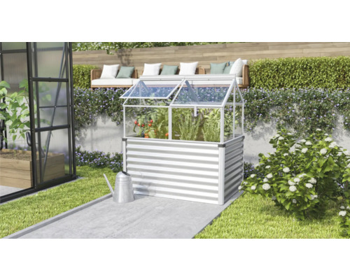 Serre avec plantes dans le jardin