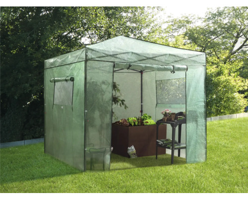 Serre avec plantes et table de jardin dans le jardin