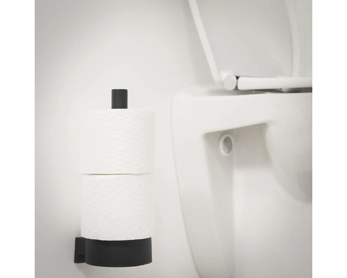 Toilettenpapierhalter mit zwei Rollen Toilettenpapier neben einer Toilette