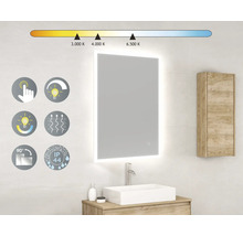 Miroir à LED form&style LEMBATA 60 x 80 cm IP 44