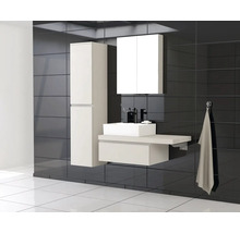 Meuble sous-vasque Jungborn TRENTA lxhxp 70x26x49.8 cm cashmere brillant - poignée argent