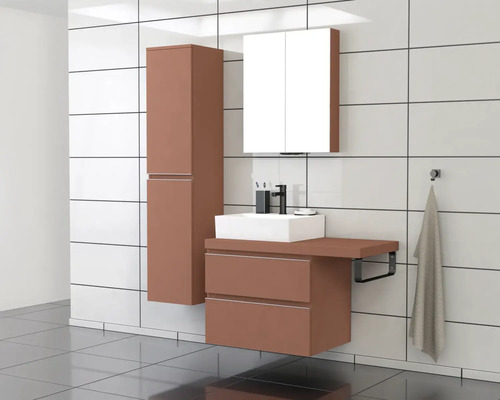 Salle de bain avec meuble sous-lavabo, armoire de toilette et armoire haute