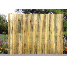 Clôture en bambou comme écran d''intimité dans le jardin