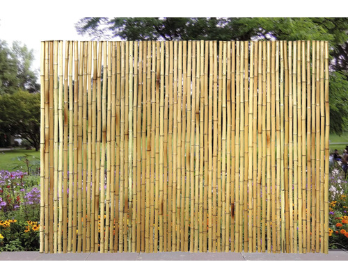 Bambuszaun als Sichtschutz im Garten