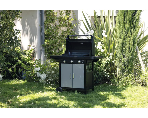 Barbecue à gaz avec deux portes dans le jardin