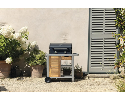 Barbecue à gaz sur chariot avec revêtement en bois devant un mur de maison