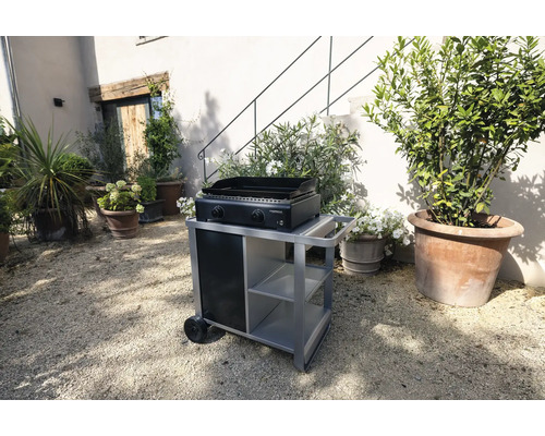 Barbecue à gaz avec chariot de barbecue dans le jardin