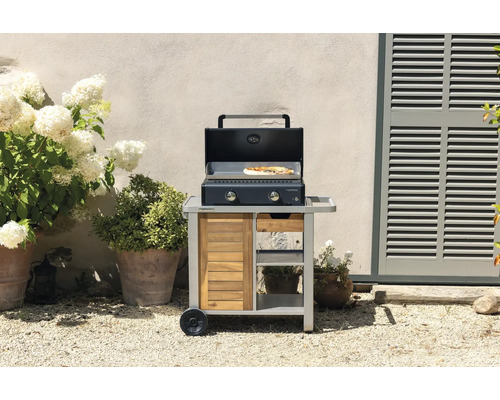 CampinGaz Plancha Grill à gaz avec chariot, pizza incluse sur la surface de cuisson