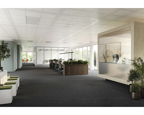 Helles Büro mit abgehängter Decke, Teppichboden und Büromöbeln