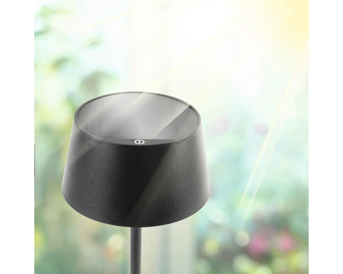 Schwarze Solarleuchte für den Garten