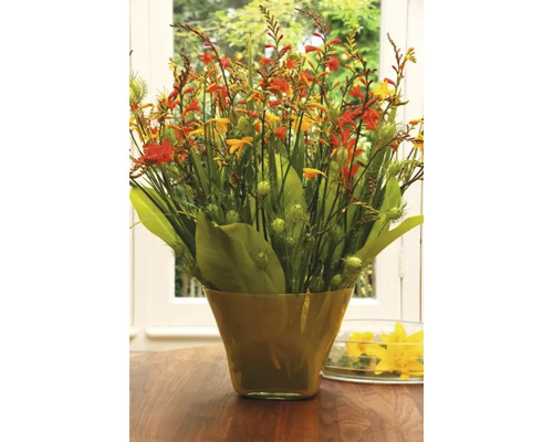 Blumenarrangement mit Montbretien in Vase