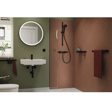 Salle de bain avec lavabo, miroir, douche et accessoires
