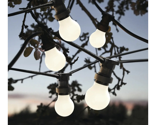 Guirlande lumineuse avec plusieurs ampoules fixées à un arbre