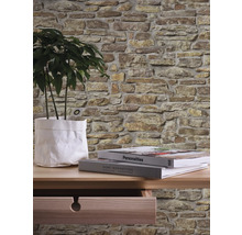 Décoration murale avec papier peint aspect pierre, table, plante d''intérieur et livres.