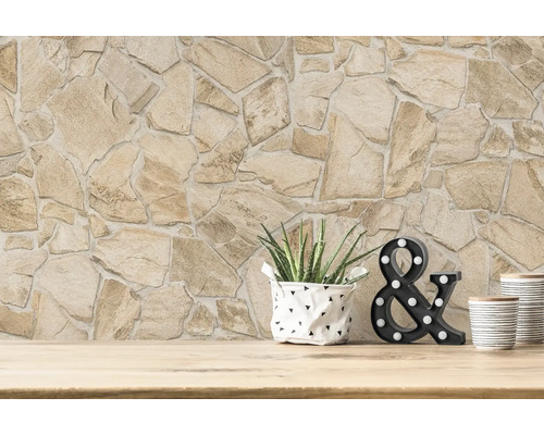 Revêtement mural aspect pierre, plante en pot et symbole décoratif