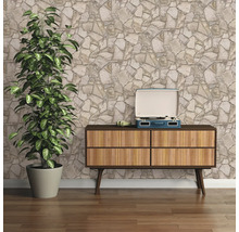 Salon avec papier peint en pierre, commode, plante et tourne-disque