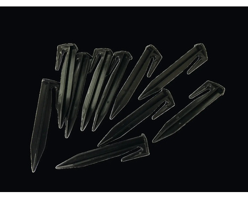 Plusieurs sardines noires en plastique