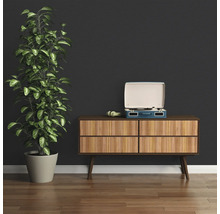 Einrichtungsszene mit Kommode, Schallplattenspieler und Zimmerpflanze.