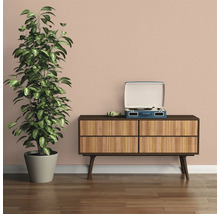 Dekoratives Interieur mit Zimmerpflanze, Kommode und Schallplattenspieler