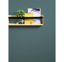 Wandregal aus Holz mit Pflanze, Zitrone und Dokumenten