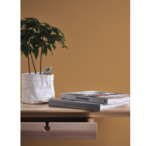 Dekorative Zimmerpflanze in weissem Papierbeutel neben Büchern auf einem Nachttisch