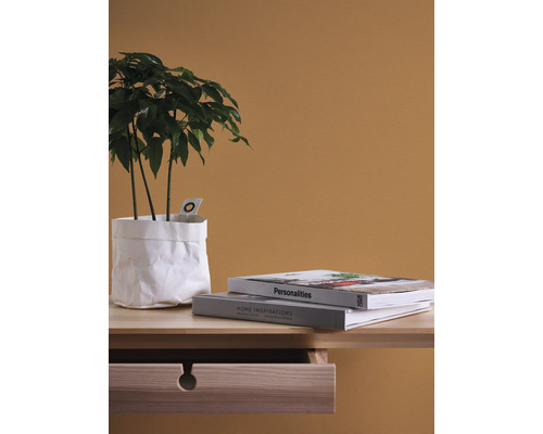 Dekorative Zimmerpflanze in weissem Papierbeutel neben Büchern auf einem Nachttisch