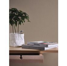 Dekoratives Interieur mit Pflanze, Büchern und Kommode