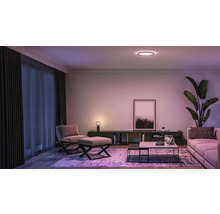 Wohnzimmer mit Sofa, Sessel, Couchtisch, Zimmerpflanze, Lampe und Deckenleuchte