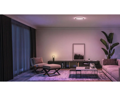 Wohnzimmer mit Sofa, Sessel, Couchtisch, Zimmerpflanze, Lampe und Deckenleuchte