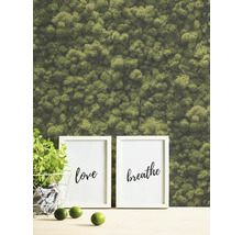 Image murale décorative en mousse avec cadres photo et plante dans un panier