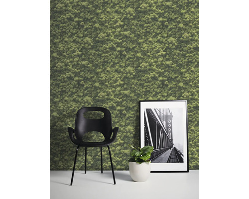 Scène avec mur de mousse, chaise, plante en pot et image encadrée