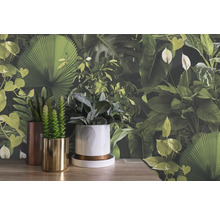 Plantes d''intérieur décoratives dans des pots devant un papier peint botanique à feuilles