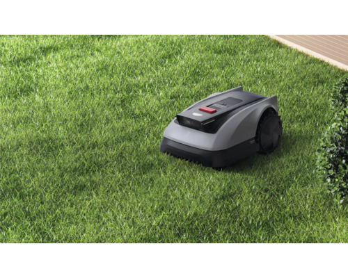 Robot tondeuse sur une pelouse