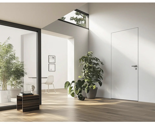 Heller Raum mit minimalistischem Design, Tür und Zimmerpflanzen