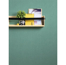 Regal an einer Wand mit Pflanze, Ordnern und Bildern