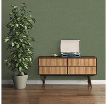 Dekorative Inneneinrichtung mit Kommode, Schallplattenspieler und Zimmerpflanze vor grüner Wand